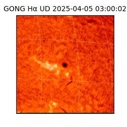 gong - 2025-04-05T03:00:02