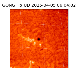 gong - 2025-04-05T06:04:02