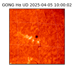gong - 2025-04-05T10:00:02
