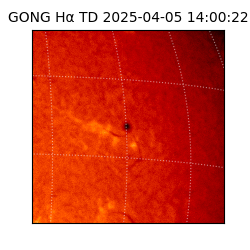 gong - 2025-04-05T14:00:22