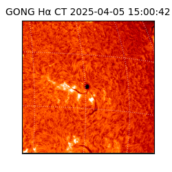 gong - 2025-04-05T15:00:42