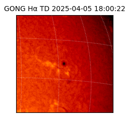 gong - 2025-04-05T18:00:22