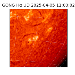 gong - 2025-04-05T11:00:02