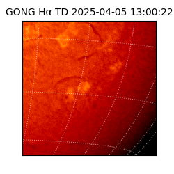 gong - 2025-04-05T13:00:22