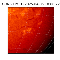 gong - 2025-04-05T18:00:22