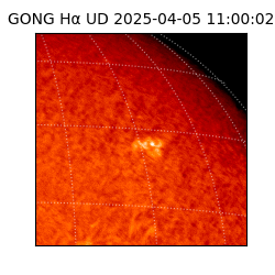 gong - 2025-04-05T11:00:02