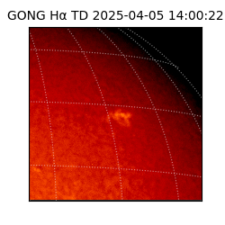 gong - 2025-04-05T14:00:22