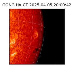 gong - 2025-04-05T20:00:42