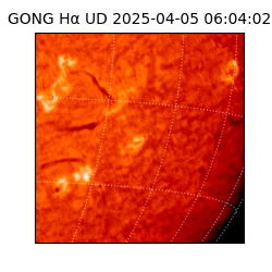 gong - 2025-04-05T06:04:02