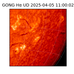 gong - 2025-04-05T11:00:02