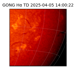gong - 2025-04-05T14:00:22