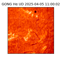 gong - 2025-04-05T11:00:02