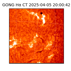 gong - 2025-04-05T20:00:42