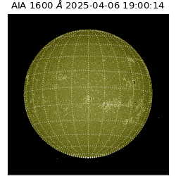 saia - 2025-04-06T19:00:14.130000