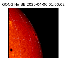 gong - 2025-04-06T01:00:02