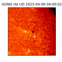 gong - 2025-04-06T04:00:02