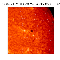 gong - 2025-04-06T05:00:02