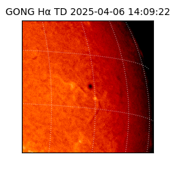 gong - 2025-04-06T14:09:22