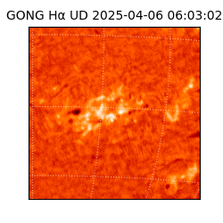 gong - 2025-04-06T06:03:02