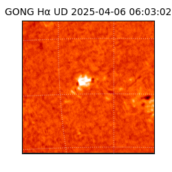 gong - 2025-04-06T06:03:02