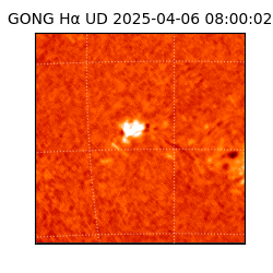 gong - 2025-04-06T08:00:02