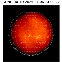 gong - 2025-04-06T14:09:22