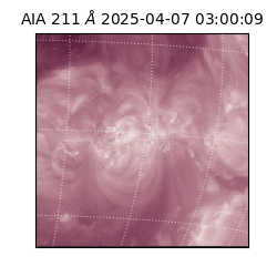 saia - 2025-04-07T03:00:09.630000