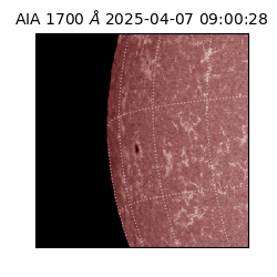 saia - 2025-04-07T09:00:28.711000