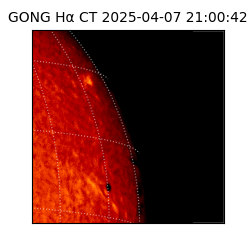 gong - 2025-04-07T21:00:42