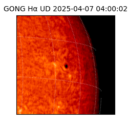 gong - 2025-04-07T04:00:02