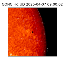 gong - 2025-04-07T09:00:02