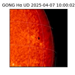 gong - 2025-04-07T10:00:02