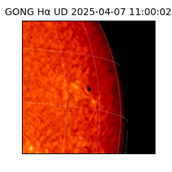 gong - 2025-04-07T11:00:02