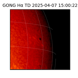 gong - 2025-04-07T15:00:22
