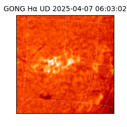 gong - 2025-04-07T06:03:02