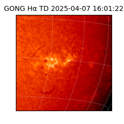 gong - 2025-04-07T16:01:22