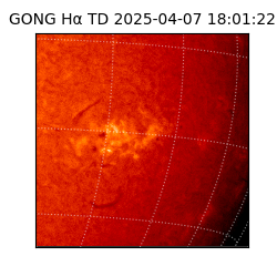 gong - 2025-04-07T18:01:22