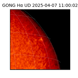 gong - 2025-04-07T11:00:02