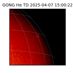gong - 2025-04-07T15:00:22