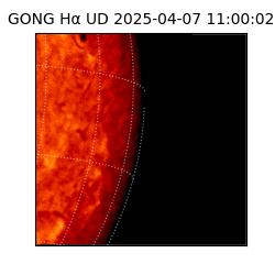 gong - 2025-04-07T11:00:02
