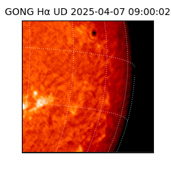 gong - 2025-04-07T09:00:02