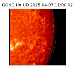 gong - 2025-04-07T11:00:02