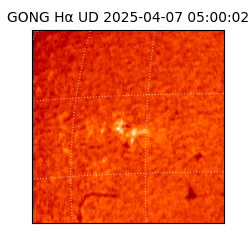 gong - 2025-04-07T05:00:02