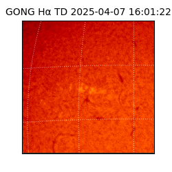 gong - 2025-04-07T16:01:22