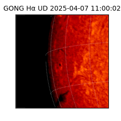 gong - 2025-04-07T11:00:02