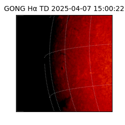 gong - 2025-04-07T15:00:22