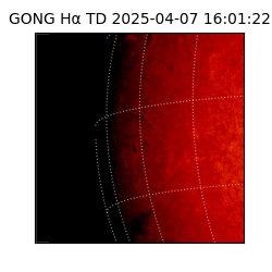 gong - 2025-04-07T16:01:22