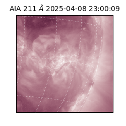 saia - 2025-04-08T23:00:09.632000