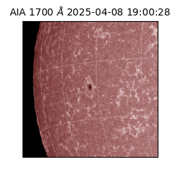 saia - 2025-04-08T19:00:28.717000