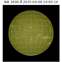 saia - 2025-04-08T10:00:14.129000